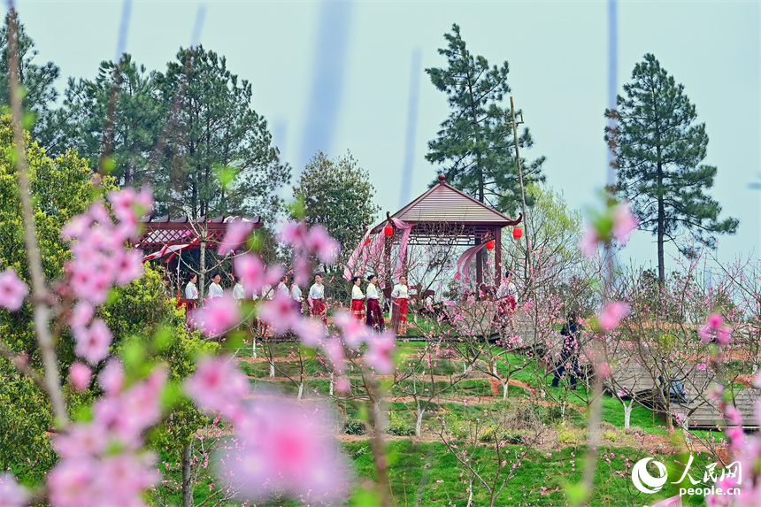 近日,江西省抚州市崇仁县以举办桃花节为契机,拓展消费场景,“国潮文化”“乡村土味”“民俗风情”成为激发“春日经济”的新动能。 朱海鹏摄